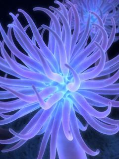 Other Wallpapers 0660